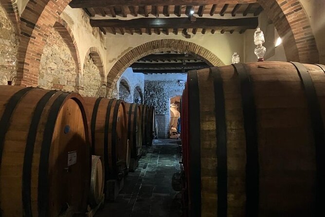 Vinci E-Bike Tour in Leonardos Chianti - Good To Know