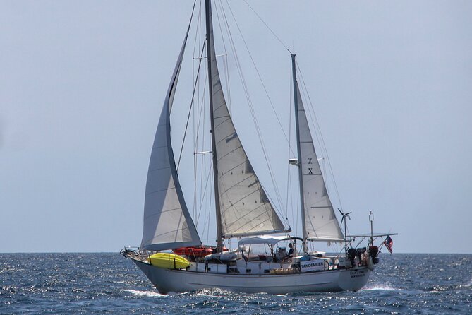 Vineyard Haven Harbor Sailing Tour Review - Overview of the Sailing Tour