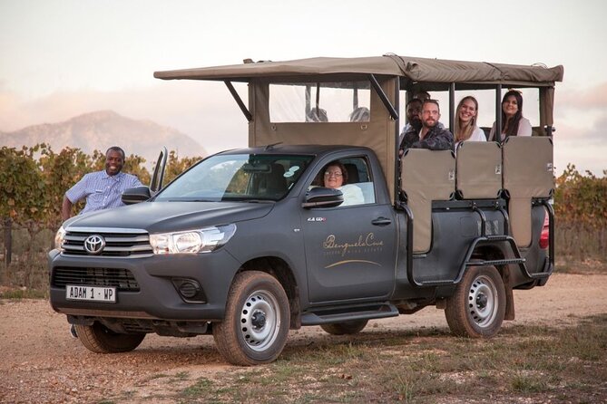 Vineyard Safari and Wine Tasting in Hermanus With Guide - Key Points