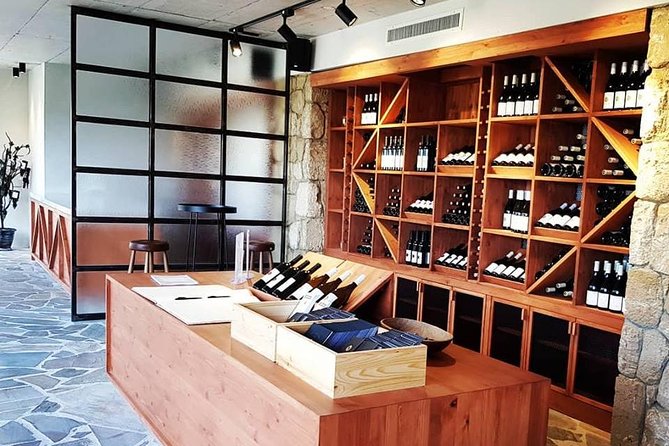 Vineyard & Wine Tasting Tour - Wine Production Journey