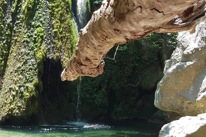VIP Luxury Private Tour- Half Day - 4x4 Excursion With Land Rover - Tour Overview