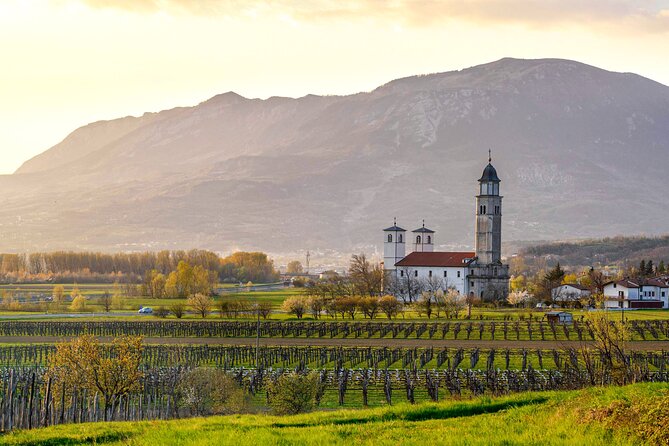 Vipava Valley Wine Express Tour From Ljubljana - Key Points