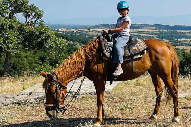 Visit a Farm and Horseback Riding in Nature - Good To Know