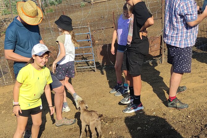 Visit a Goat Farm in a Village - Key Points