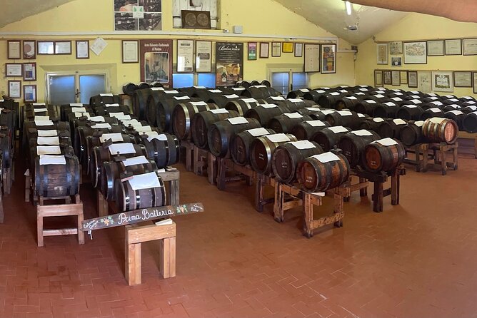 Visit and Tasting of Traditional Balsamic Vinegar of Modena - Good To Know