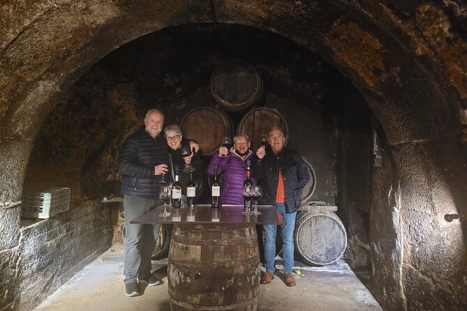 Visit Marques De Riscal & Picnic in Vineyard From Bilbao - Tour Overview