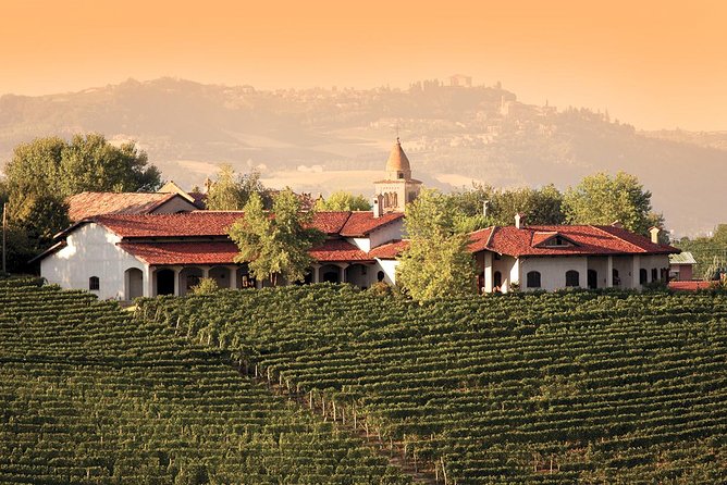 Visit to the Germano Winery With Lunch and Wine Tasting - Good To Know