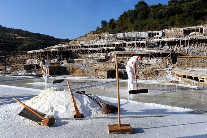 Vitoria and Añana Salt Valley Small Group Tour, Lunch Included - Key Points