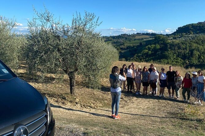 Volterra Tour + Salt Mine by Van From Lucca, Pisa or Livorno Port - Good To Know