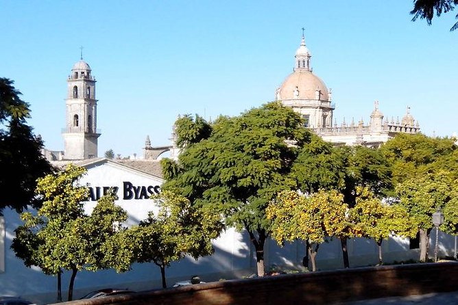 Walking Tour in Jerez - Good To Know