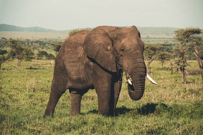 Wasgamuwa National Park Private Safari - Good To Know