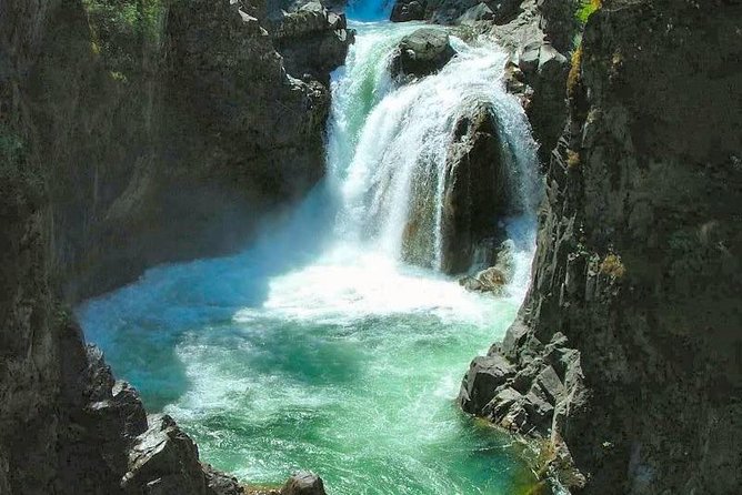 Waterfalls, Cathedral Grove Rainforest, and Coombs Adventure With Hiking