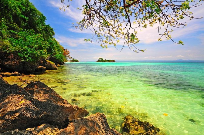 Whale Watch Tour From Santo Domingo With Bacardi Island and Lunch Included - Key Points
