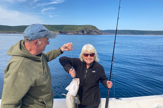 Whale Watching, Shark and Cod Fishing, From St. Johns Harbor - Good To Know