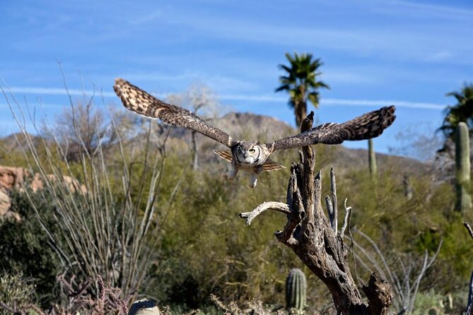 When Nature Calls - Exploring the Sonoran Desert - Good To Know