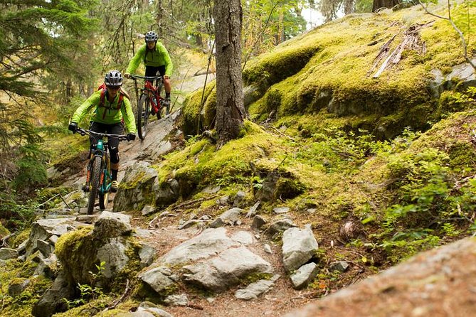 Whistler Full-Day Mountain Bike Tour - Good To Know