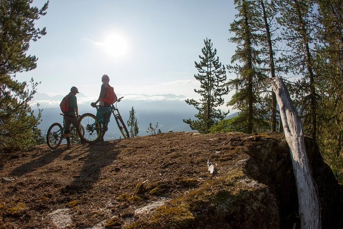 Whistler Half-Day Mountain Bike Tour - Good To Know
