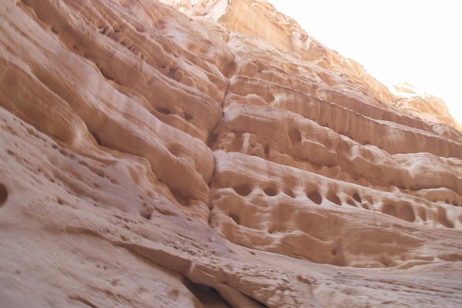 White Canyon 1-Day Camel Safari From Dahab - What to Expect