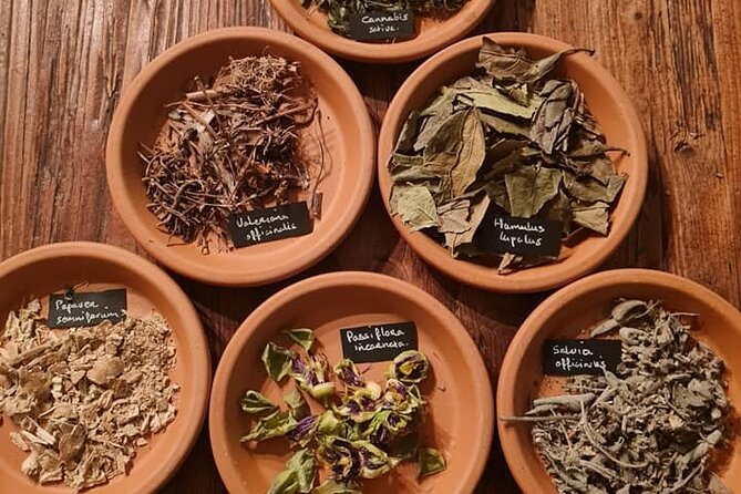 Wild Herb Picking Tour in Nature Reserve De Rhoonse Grienden - Tour Inclusions