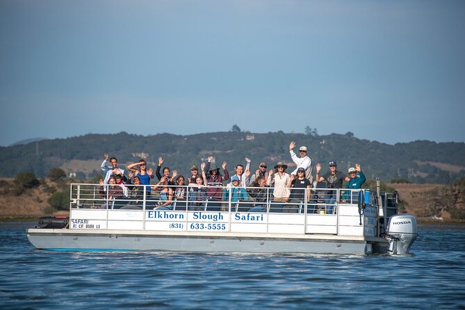 Wildlife Safari Boat Tour in Scenic Monterey Bay Wetland - Good To Know
