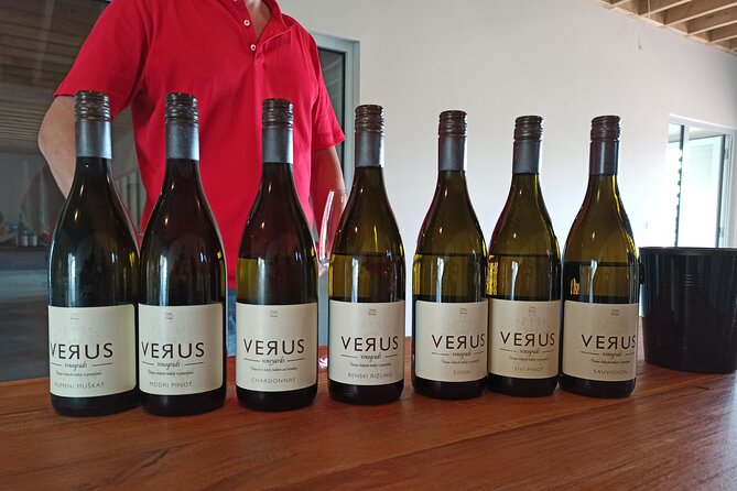 Wine and Culinary Adventure in Jeruzalem - Full Day Tour From Ljubljana or Ptuj - Tour Overview