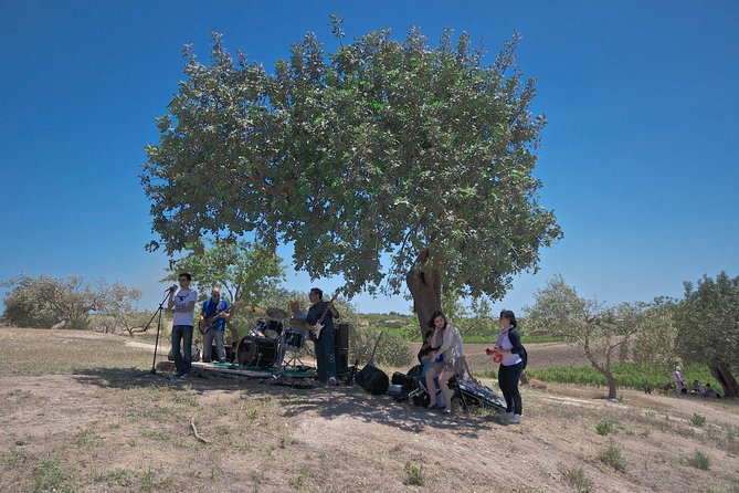 Wine and Food Baroque Day Tour – Private Experience - Wine Tasting Highlights