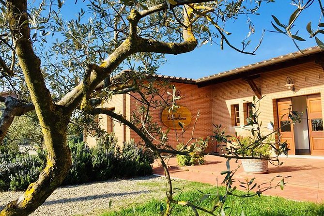 Wine, Extra Virgin Olive Oil & Bread Tour .E - Good To Know