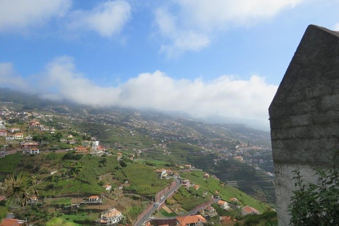 Wine Route (Half Day Walk) - Tour Overview