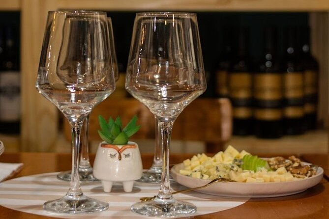 Wine Tasting at Downtown Buenos Aires Ego Experience - Good To Know