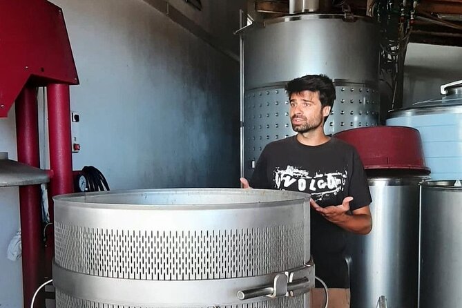 Wine Tour and Tasting With a Local Winemaker at Pico Island - Overview of the Experience