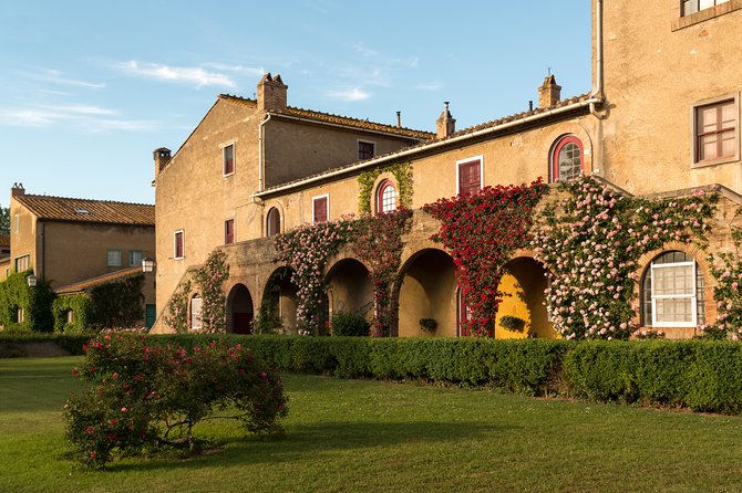 Wine Tour Bolgheri Half Day Shore Excursion From Piombino Port - Key Points