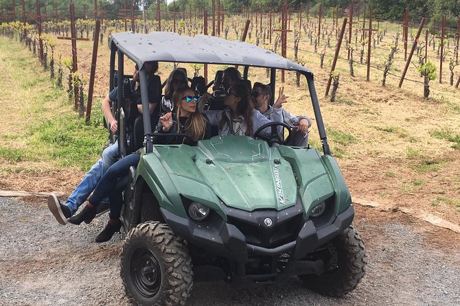 Wine Tour, Enjoy a Wonderful Day in Napa or Sonoma Wine Country. Private Driver - Good To Know