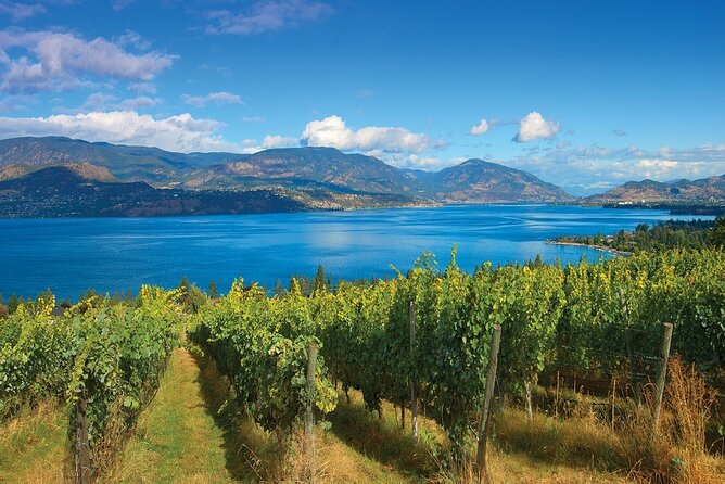 Wine Tour - Half Day Lakeshore & Southeast Kelowna - Good To Know