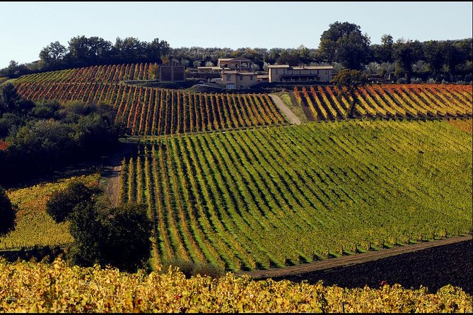 Wine Tour in Umbria Along the Sagrantino Trail With Light Lunch - Good To Know
