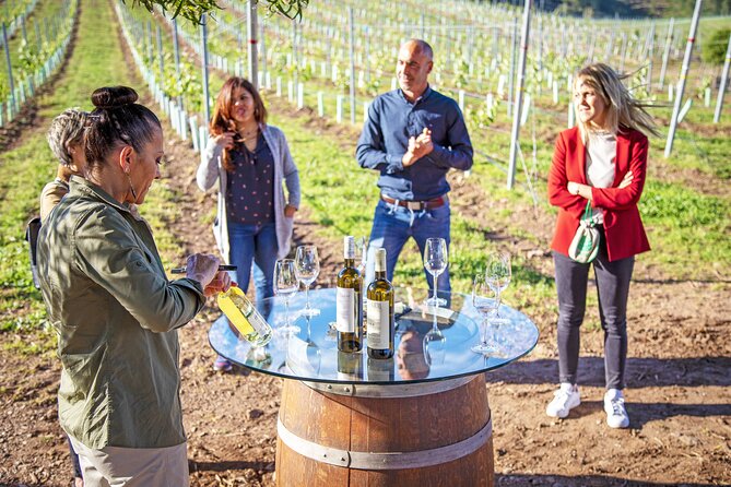 Winery Tour and Tasting at the Galician Estate - Key Points