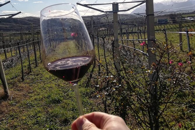 Winery Tour and Tasting in Abruzzo - Good To Know