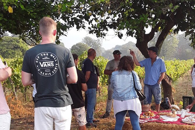 Winery Tour and Wine Tasting in Calabria - Key Points