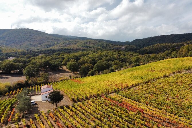 Winery Tour With Wine and Food Tasting in Nuoro - Key Points