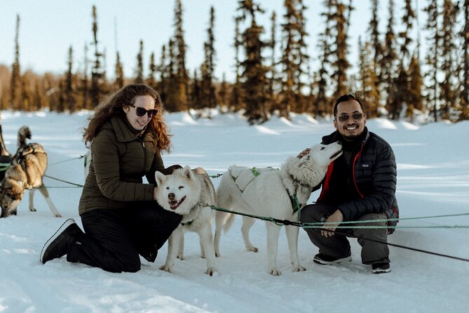 Winter Dog Sled Tour: Day or Night. - Good To Know