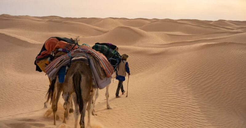 Wonders of Tunisia - 8 Day Tour - Good To Know