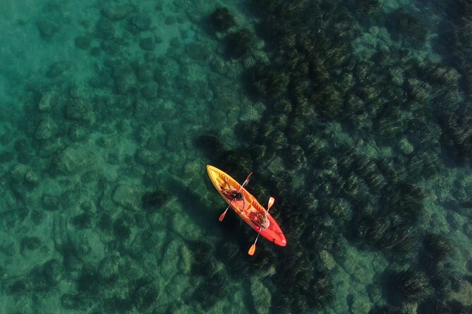 WWF Kayak Tour From Cala Manbrù to Torre Salsa Reserve - Good To Know