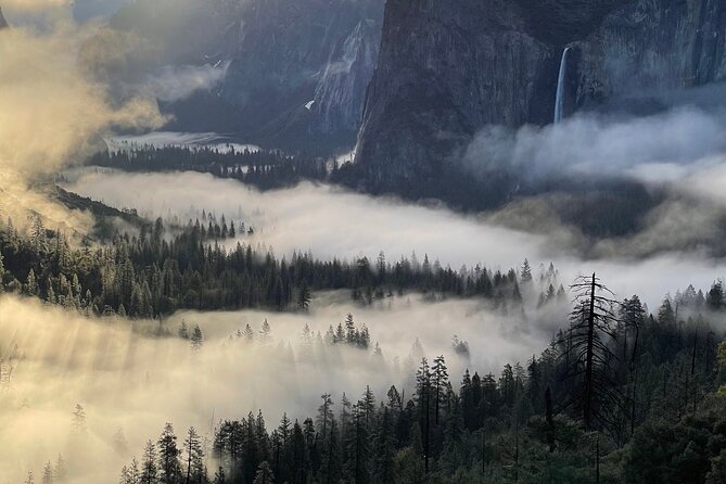 Yosemite Winter Highlights Small Group Tour - Good To Know
