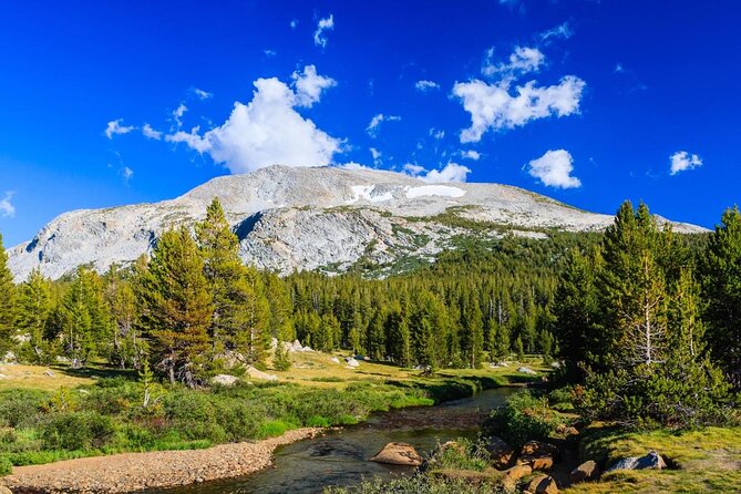 Yosemite's High Country Adaptive Tour - About Your Stay