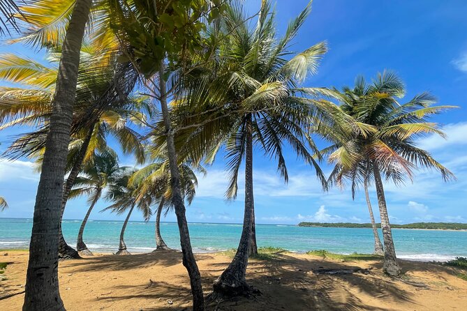 Yunque & Piñones Tour Hike Eat & Adventure With a Local; San Juan - Itinerary and Inclusions