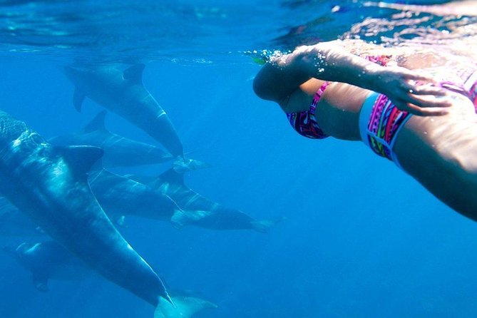 Zanzibar Dolphin Tour Unforgettable Experience! - Tour Overview