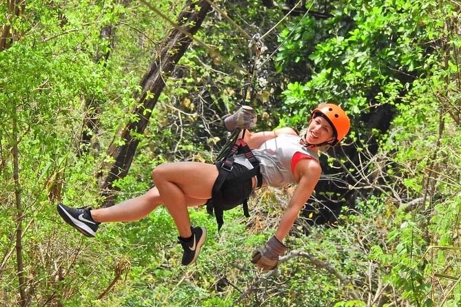 Zip Line and Monkey Park Activity at Guanacaste - Good To Know