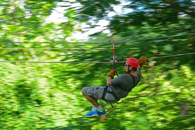 Zipline Adventure From La Romana - Overview of the Zipline Tour