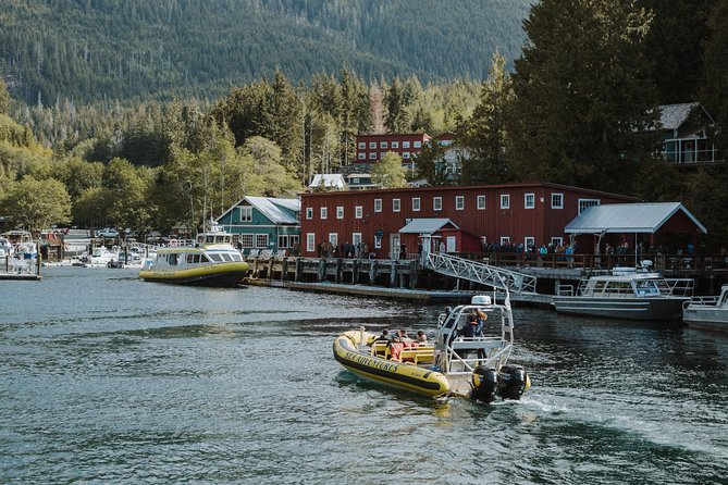 Zodiac Whale Watching Adventure From Telegraph Cove - Good To Know