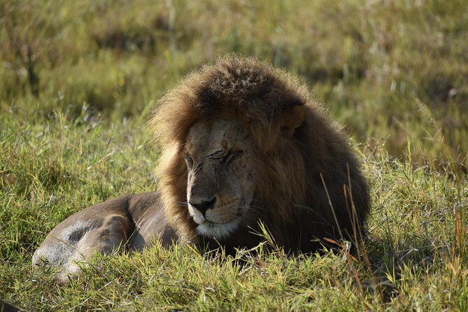 06 Days Kenya LuxuryLodge Safari - Key Points