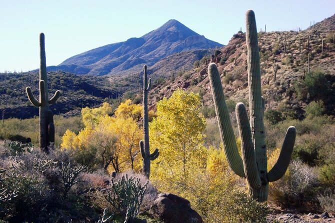 1-2 Hour Jewel of the Creek Private Guided Hiking Tour - Good To Know